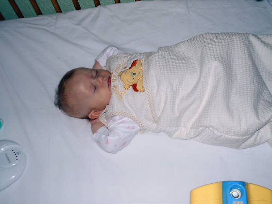 imag0005.jpg